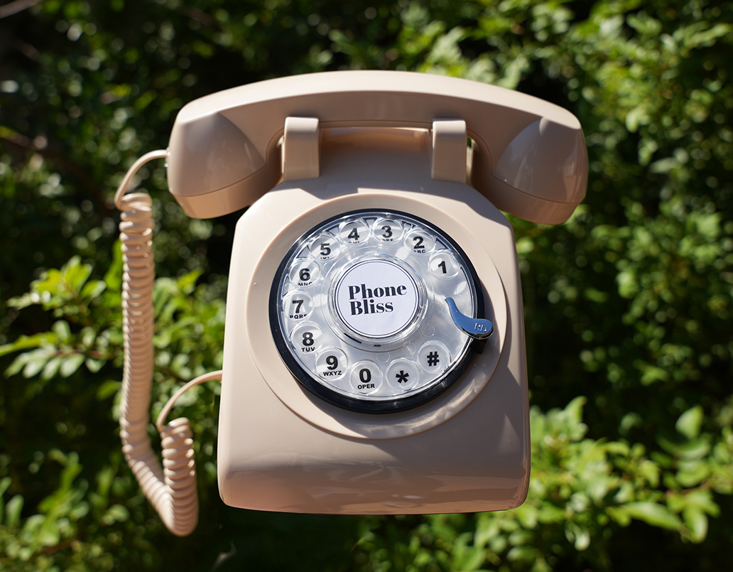 Custard Cream - Audio Guest Book hire
